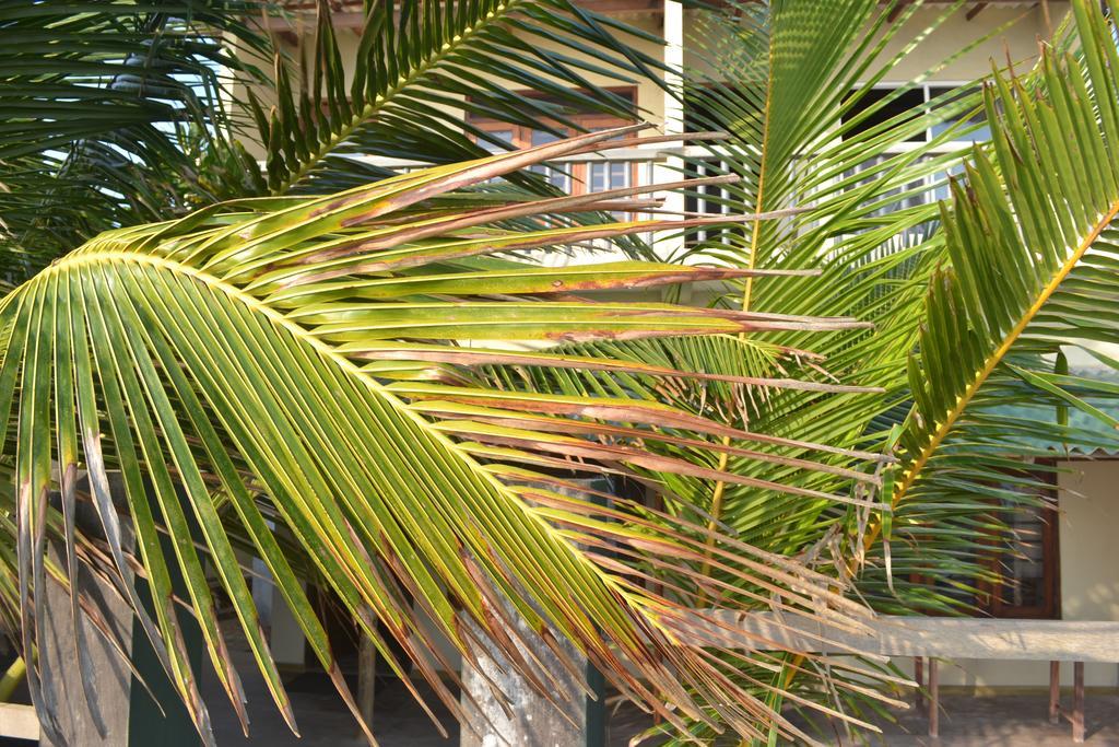 Beach Arthur Villa Galle Exteriér fotografie